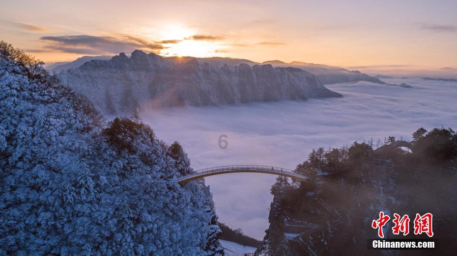 有哪些水分大的好吃的水果?知识星球平台-专注知识分享与交流