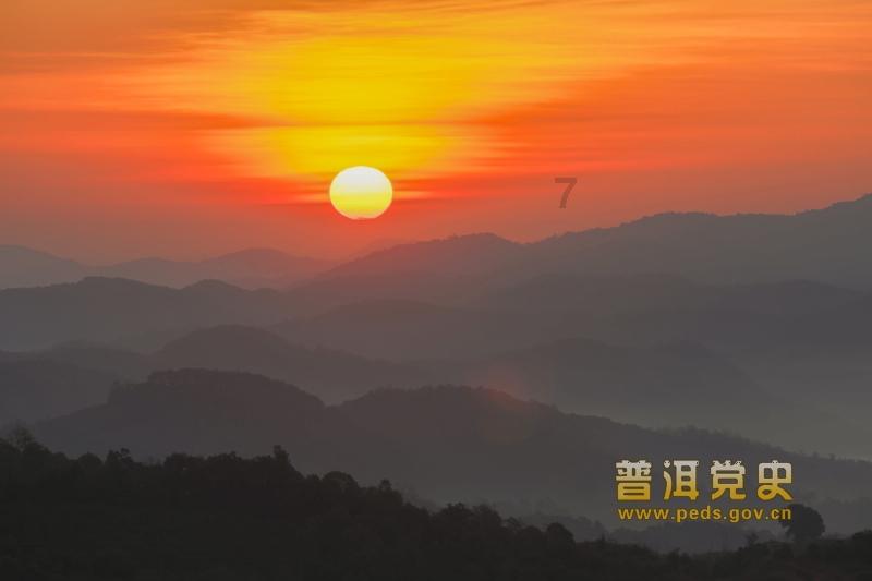 小仓鼠吃瓜子