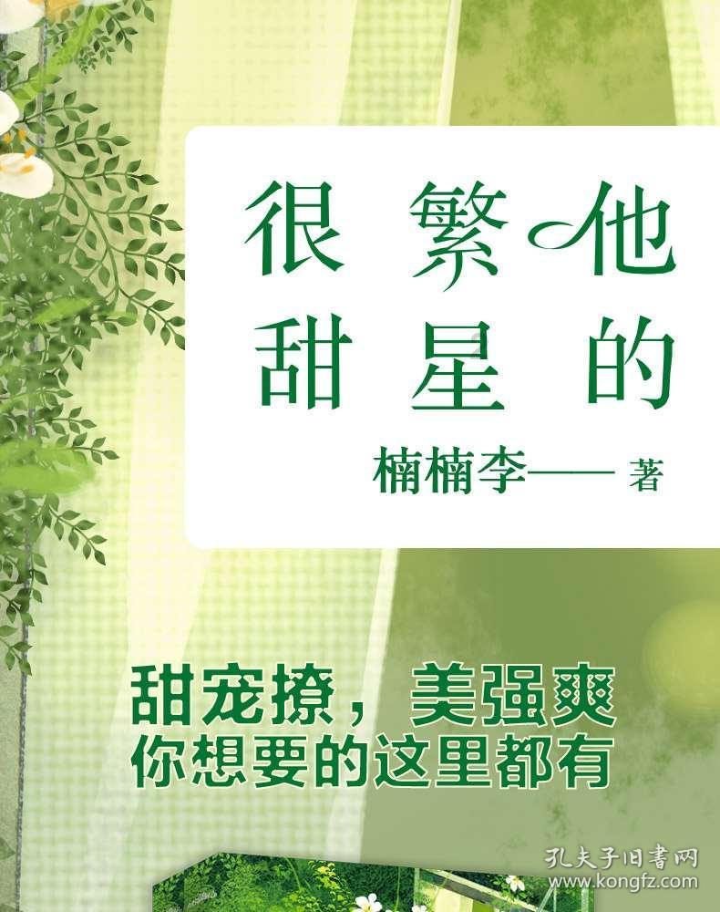玩具战斗机大战