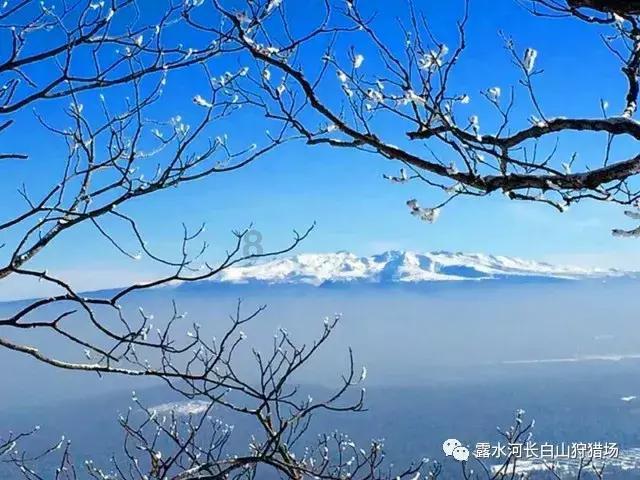 2023年全国不同城白领年终奖均值一览：过7千就是赢家、IT、汽车行业最牛